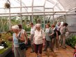 03Botanicka zahrada MUBrno.JPG