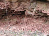 Horn Kaln - star lmek s polohou dolomitickch konkrec s Cu-V mineralizac, foto V. Uvra